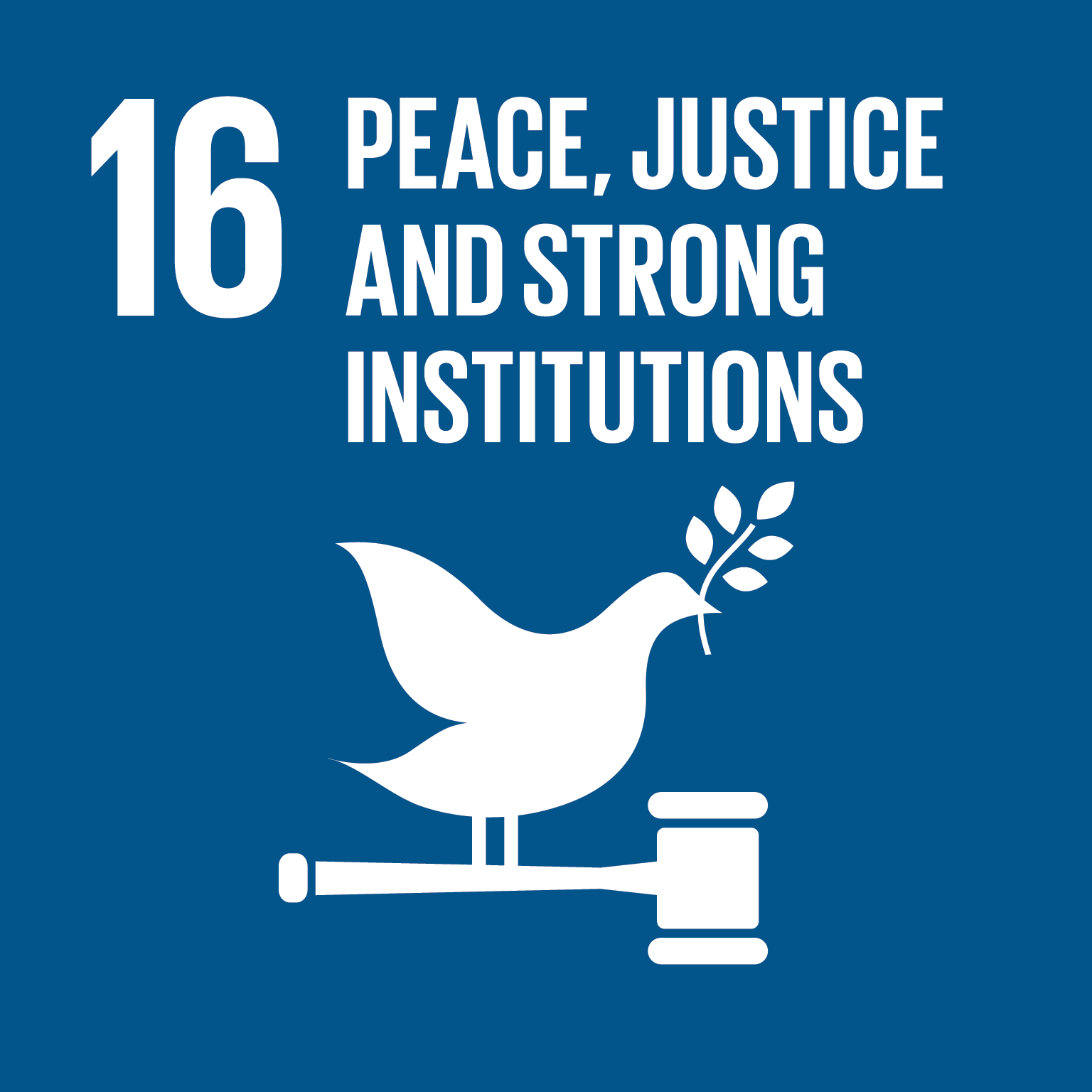 11. 和平與正義制度